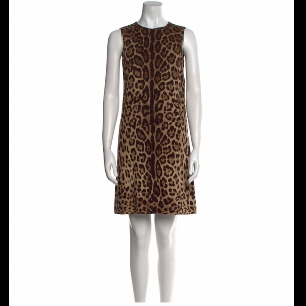 Dolce & Gabbana Leopard-Print Mini Dress in Brown and Black - Picture 2 of 3